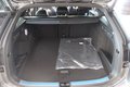 Daumennagel 10 - Volkswagen Passat Variant 2.0 TDI 4Motion R-Line
