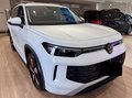 Daumennagel 3 - Volkswagen Tayron 1.5 TSI eHybridLife