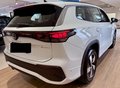 Daumennagel 4 - Volkswagen Tayron 1.5 TSI eHybridLife