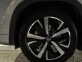 Daumennagel 10 - Volkswagen Tayron 2.0 TSI 4Motion Life