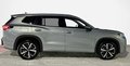Daumennagel 3 - Volkswagen Tayron 2.0 TSI 4Motion Life