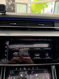 Daumennagel 22 - Audi A8 50 TDI quattro