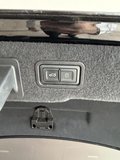 Daumennagel 37 - Audi A8 50 TDI quattro