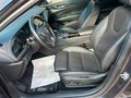 Daumennagel 18 - Opel Insignia GS Line Plus*HUD*BOSE*LEDER*4XSITZHZG*