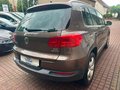 Daumennagel 5 - Volkswagen Tiguan Sport & Style BMT*STANDHZG*SITZHZG*ALCANT