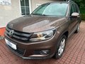 Daumennagel 1 - Volkswagen Tiguan Sport & Style BMT*STANDHZG*SITZHZG*ALCANT