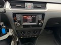 Daumennagel 14 - Skoda Rapid Spaceback*1.HAND*DSG*SITZHZG*