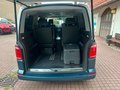 Daumennagel 12 - Volkswagen T6 Multivan