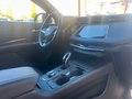 Daumennagel 6 - Cadillac XT4 Luxury 4WD*BOSE*HUD*4xSITZHZG+