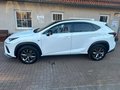 Daumennagel 2 - Lexus NX 300 F-SPORT*FACELIFT*STANDHZG*HUD*VOLL*