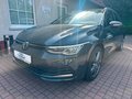 Daumennagel 1 - Volkswagen Golf VIII Variant Active*LED*DSG*SITHZG*