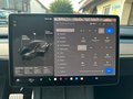 Daumennagel 12 - Tesla Model Y Performance Dual AWD*MWST*