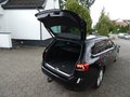 Daumennagel 26 - Volkswagen Passat Variant Business DSG Navi Kamera AHK