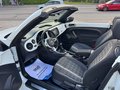 Daumennagel 14 - Volkswagen Beetle Cabriolet Design Start-Stopp Navi 19 Zoll