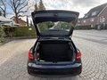 Daumennagel 21 - Audi A1 Sportback 30 TFSI LED SHZ Carplay PDC Klima