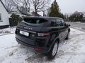 Daumennagel 6 - Land Rover Range Rover Evoque Pure Automatik Allrad Navi