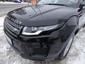 Daumennagel 10 - Land Rover Range Rover Evoque Pure Automatik Allrad Navi