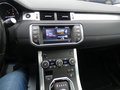 Daumennagel 22 - Land Rover Range Rover Evoque Pure Automatik Allrad Navi