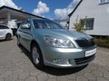 Daumennagel 3 - Skoda Octavia Combi Ambition Klima AHK Tempomat