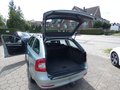 Daumennagel 18 - Skoda Octavia Combi Ambition Klima AHK Tempomat