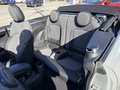 Daumennagel 15 - MINI Cooper Cabrio 1,5 Chili Automatik LED Navi PDC SHZ Klima