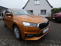 Daumennagel 3 - Skoda Fabia Ambition 1,0 TSI LED SHZ Carplay Klima Tempomat