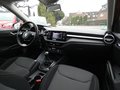 Daumennagel 21 - Skoda Fabia Ambition 1,0 TSI LED SHZ Carplay Klima Tempomat
