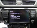 Daumennagel 19 - Skoda Superb Combi Style 2,0 TDI DSG AHK ACC Memory Navi SHZ Carplay
