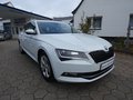 Daumennagel 3 - Skoda Superb Combi Style 2,0 TDI DSG AHK ACC Memory Navi SHZ Carplay
