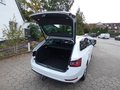 Daumennagel 24 - Skoda Superb Combi Style 2,0 TDI DSG AHK ACC Memory Navi SHZ Carplay