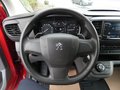 Daumennagel 12 - Peugeot Expert Kasten Premium L2 Automatik AHK Standheizung 3-Sitzer