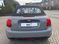 Daumennagel 6 - MINI Cooper Cabrio 1,5 Automatik Chili LED ACC Navi PDC SHZ