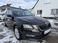 Daumennagel 3 - Skoda Octavia Combi Ambition 1,5 TSI DSG AHK Navi Carplay PDC