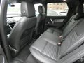 Daumennagel 19 - Land Rover Discovery Sport Dynamic SE AWD Mild-Hybrid 150 kW Panor. AHK