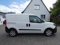 Daumennagel 4 - Fiat Doblo Cargo SX 1,3 M-Jet Klima Bluetooth Allseason