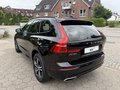 Daumennagel 7 - Volvo XC60 R Design B5 AWD Pano Leder Head-Up ACC 360° Kamera