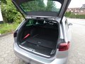Daumennagel 25 - Volkswagen Passat Highline / Style / Elegance Panoramadach AHK Navi