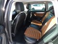 Daumennagel 15 - Volkswagen Passat Variant Highline BlueMotion Panoramadach Leder AHK