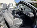 Daumennagel 17 - Audi A3 Cabriolet 35 TFSI COD Navi PDC SHZ Xenon