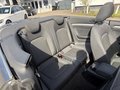 Daumennagel 18 - Audi A3 Cabriolet 35 TFSI COD Navi PDC SHZ Xenon