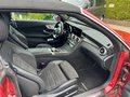 Daumennagel 15 - Mercedes-Benz C 300 Cabrio AMG Line LED Airscarf ACC