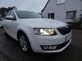 Daumennagel 4 - Skoda Octavia Combi Greenline 1,6 TDI Bi-Xenon Keyless Navi 4xSHZ Klima