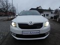 Daumennagel 3 - Skoda Octavia Combi Greenline 1,6 TDI Bi-Xenon Keyless Navi 4xSHZ Klima