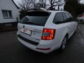 Daumennagel 5 - Skoda Octavia Combi Greenline 1,6 TDI Bi-Xenon Keyless Navi 4xSHZ Klima