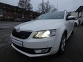 Daumennagel 1 - Skoda Octavia Combi Greenline 1,6 TDI Bi-Xenon Keyless Navi 4xSHZ Klima