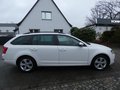 Daumennagel 6 - Skoda Octavia Combi Greenline 1,6 TDI Bi-Xenon Keyless Navi 4xSHZ Klima