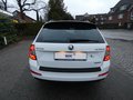 Daumennagel 7 - Skoda Octavia Combi Greenline 1,6 TDI Bi-Xenon Keyless Navi 4xSHZ Klima