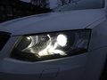 Daumennagel 10 - Skoda Octavia Combi Greenline 1,6 TDI Bi-Xenon Keyless Navi 4xSHZ Klima