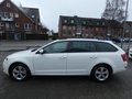 Daumennagel 8 - Skoda Octavia Combi Greenline 1,6 TDI Bi-Xenon Keyless Navi 4xSHZ Klima