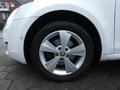 Daumennagel 11 - Skoda Octavia Combi Greenline 1,6 TDI Bi-Xenon Keyless Navi 4xSHZ Klima
